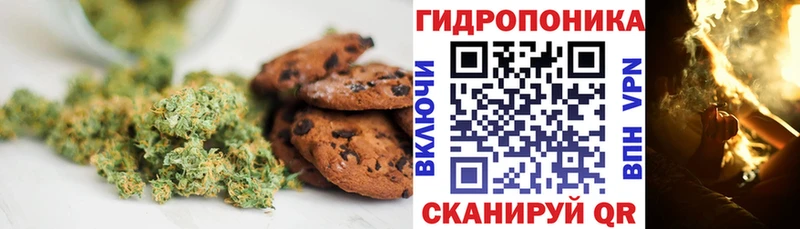Canna-Cookies конопля  Черняховск 
