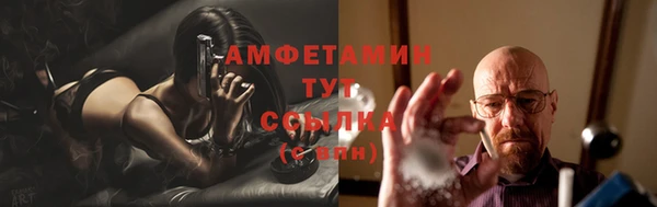 сатива Армянск