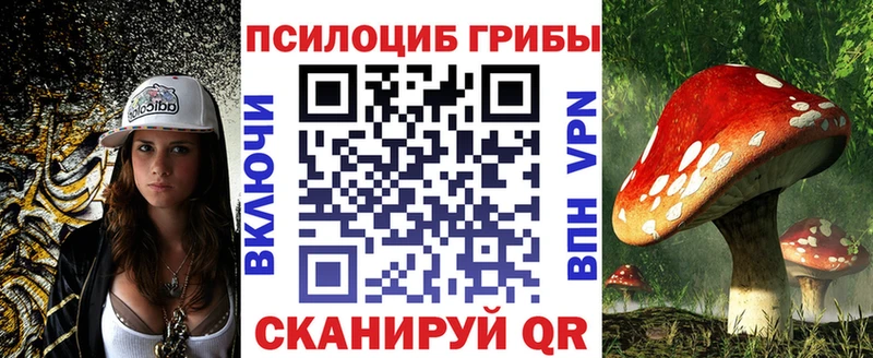 Галлюциногенные грибы Cubensis  Черняховск 